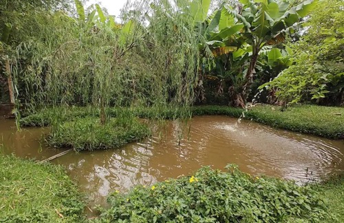 Ibiuna Casa | Farm in Ibiuna, complete leisure, swimming pool, games room, tennis court