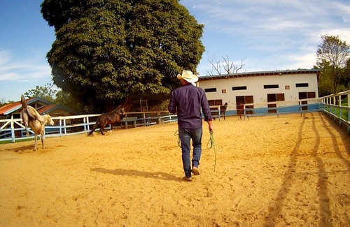 Artur Nogueira Casa | farm in the middle of nature a paradise
