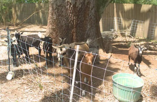 Loxley Casa | Farm life near the coast!