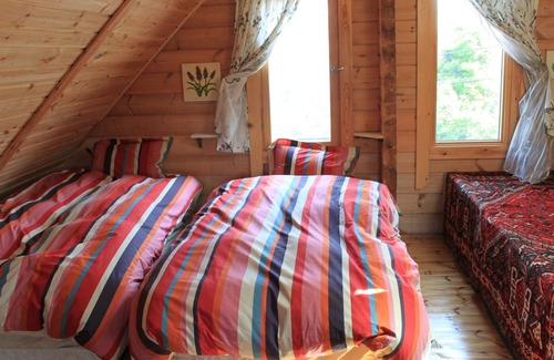 Futo Cabaña | Farm Log Cottage Blueberry Annabelle A handmade cottage with a hot spring and a farm. You can also enjoy BBQ.