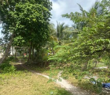 Luzon Cabina | Farm small courtyard