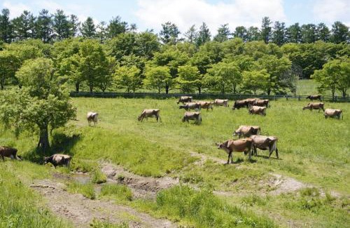 Biei Apartamento | Farm Stay Chiyoda-Tenger