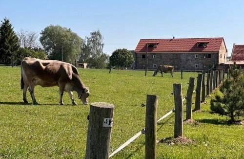 Uhlirske Janovice Apartamento | Farma Bláto - Apartmány Sýpka a glamping