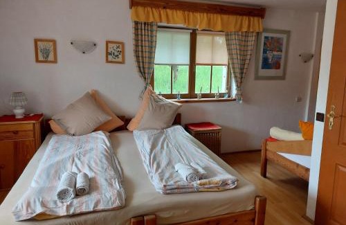 gmina Łososina Dolna Casa | Farma Zdrowia