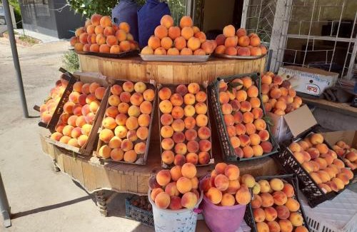 Areni Casa | Farmer's House B&B