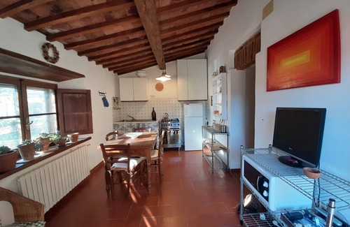Castelnuovo di Val di Cecina Otro | Farmhouse from 17th century with antique furniture and many flowers.
