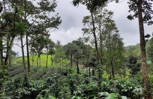 Elappara Casa | Farmstay in ചില്ലുകൂടാരം at Les Domki et al.
