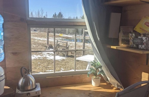 Dedham Cabina | Farmstay in a tiny shack with view on horse & goat pasture