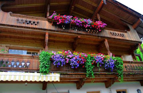 Lauterbach Apartamento | Farnreit