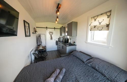 Wick Cabina | Farr North Lodge 1 By The Sea