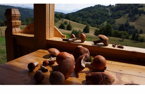 Viseu de Sus Casa | Fascinante casa de vacaciones en las montañas de Maramures