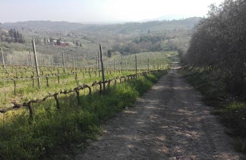 Capannori Casa | Fattoria di Fubbiano