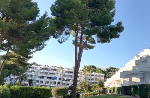 Cala Vinas Apartamento | Favorite place in Mallorca, garden saltwater pool and direct sea access