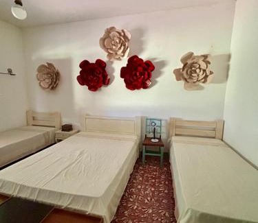Campo Maior Casa | Fazenda Aprazível