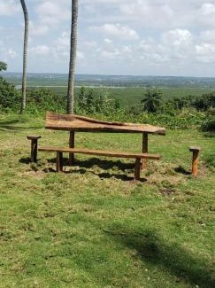 Ilha de Itamaraca Casa | FAZENDA BOSQUE DAs PALMEIRAS