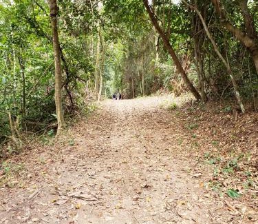 Ilha de Itamaraca Casa | FAZENDA BOSQUE DAs PALMEIRAS