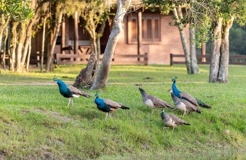 Maquine Casa | Fazenda Pontal