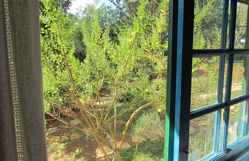 Aiuruoca Chalet De Esquí | Siente y contempla nuevas energías.