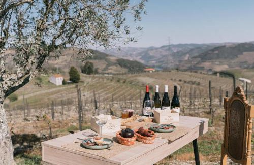 Peso da Regua Villa | Feel Discovery Quinta do Muro Douro Valley