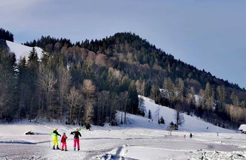 Menzenschwand-Hinterdorf Apartamento | Feel-good apartment TANNE