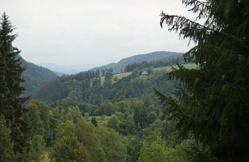 Triberg im Schwarzwald Apartamento | Feißesberghof