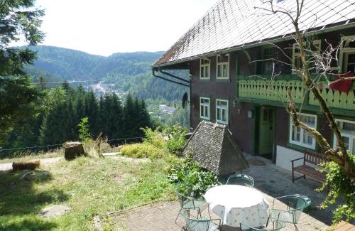 Triberg im Schwarzwald Apartamento | Feißesberghof