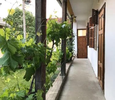 Feked Casa | Feked Farmstay