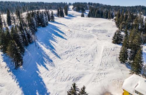 Feldberg Apartamento | Feldberg Domizil - Residenz Grafenmatt
