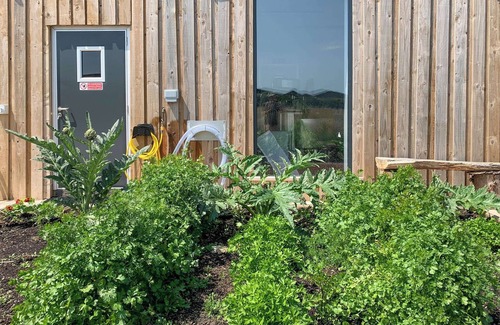 Templecombe Cabaña | Feltham's Cottage - UK42324