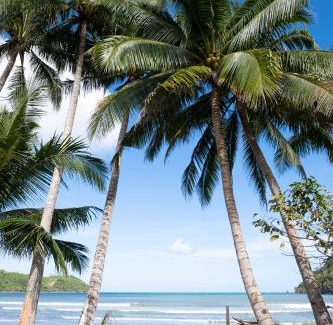 El Nido Casa | Femya Homestay