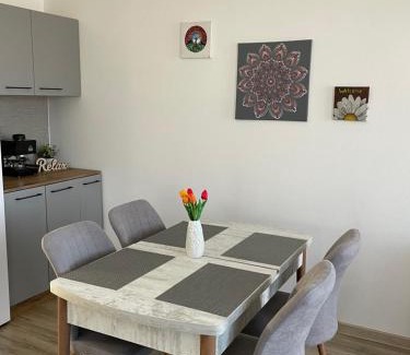 Odorheiu Secuiesc Apartamento | Fenyő Apartman