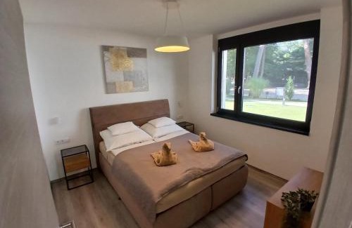 Pusztavacs Apartamento | Fenyvesliget Apartmanok III