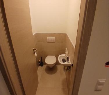 Pusztavacs Apartamento | Fenyvesliget Apartmanok IV