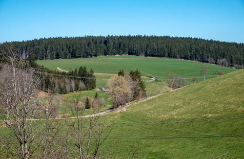 Sankt Georgen im Schwarzwald Apartamento | Ferienwohnung Armbruster