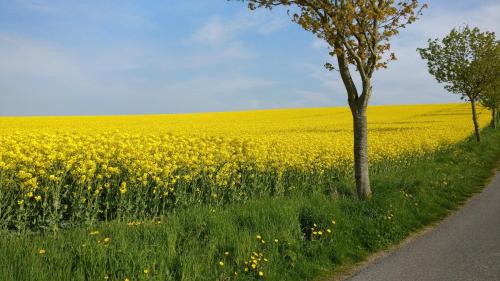 Thomsdorf Apartamento | Ferien an der Ostsee