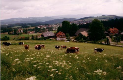 St. Peter im Schwarzwald Apartamento | Ferien Auf Dem Steingrubenhof