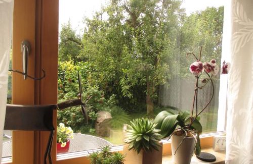 Schrock Apartamento | Ferien bei Naus - Ferienwohnung