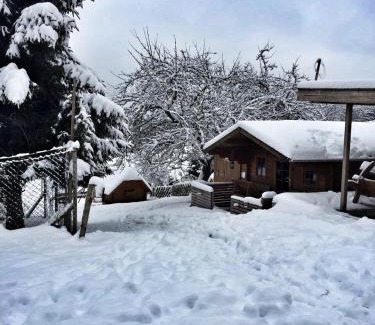 Sankt Georgen im Schwarzwald Apartamento | Ferienhof Gerda