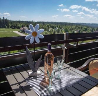 Kniebis Apartamento | Ferienapartment Hoch hinaus