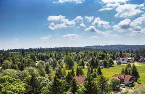 Kniebis Apartamento | Ferienapartment Hoch hinaus