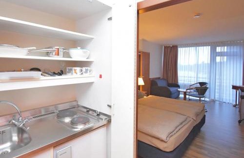 Hahnenklee Apartamento | Ferienappartement Balbiani Hahnenklee-Harz