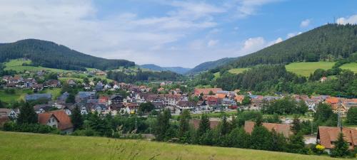 Baiersbronn Apartamento | Ferienappartement in Black Forest