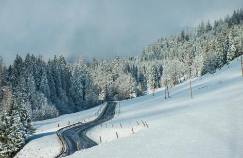 Muehlbach Am Hochkoenig Casa | Ferienbauernhof Elmaugut