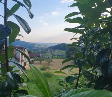 Bad Gleichenberg Apartamento | Feriendomizil Schleich am Steinriegl