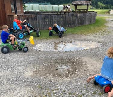 Am Feuersang Apartamento | Feriengut Fingerhof