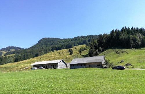 Hittisau Apartamento | Ferienhütte Kälberweide
