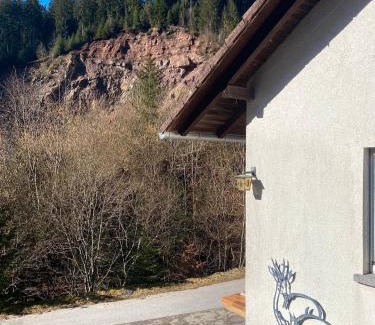 Bad Rippoldsau-Schapbach Casa | Ferienhaus Holzwald