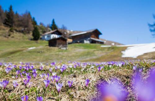 San Leonardo in Passiria Casa | Ferienhaus/Chalet in der Blaiche