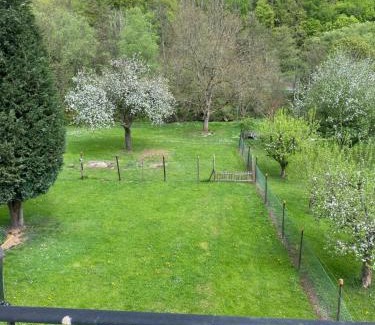 Alf Casa | Ferienhaus Alfbach
