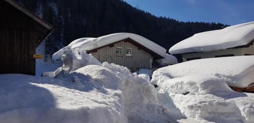 Kloesterle am Arlberg Apartamento | Ferienhaus Alfenz